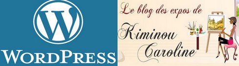grace bailhache kiminou caroline wordpress blog plugins